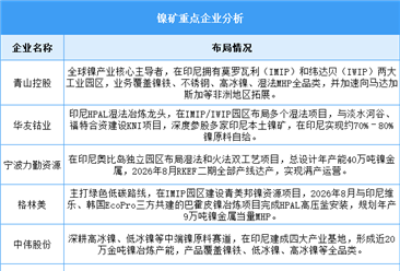 2026年中国镍矿产量及重点企业预测分析（图）
