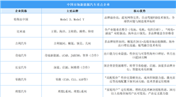2026年中国新能源汽车竞争格局全景洞察：梯队分化与错位竞争（图）
