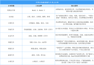 2026年中国新能源汽车竞争格局全景洞察：梯队分化与错位竞争（图）