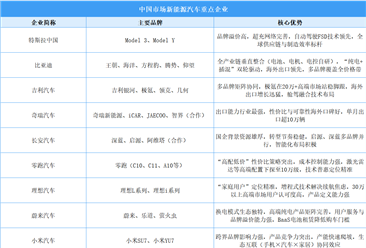 2026年中国新能源汽车竞争格局全景洞察：梯队分化与错位竞争（图）