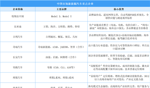 2026年中国新能源汽车竞争格局全景洞察：梯队分化与错位竞争（图）