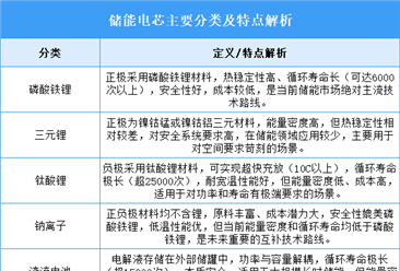2026年中国储能电芯行业市场前景预测研究报告（简版）