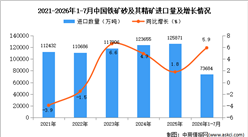 2026年1-7月中国铁矿砂及其精矿进口数据统计分析：进口量同比增长5.9%（图）