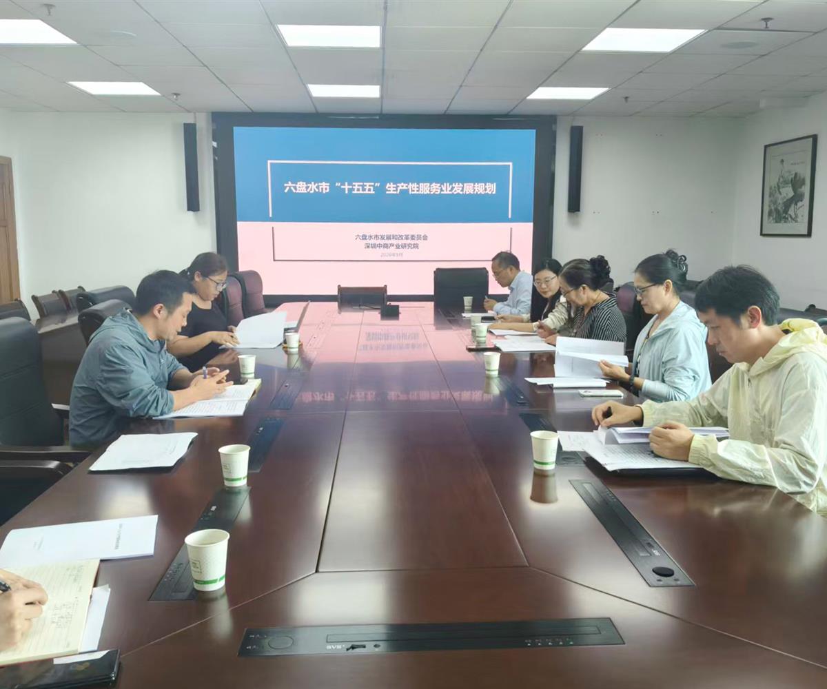 《六盘水市“十五五”生产性服务业发展规划》通过专家评审