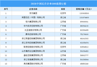 2026中国民营企业500强排行榜（附完整榜单）