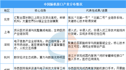 2026年中国脑机接口产业区域布局及企业业务布局（图）