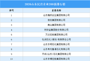 2026山东民营企业200强排行榜（附完整榜单）