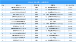 2026云南省民营企业100强排行榜（附完整榜单）