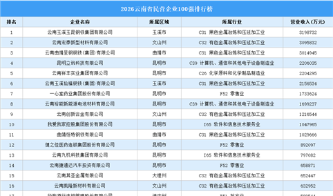 2026云南省民营企业100强排行榜（附完整榜单）
