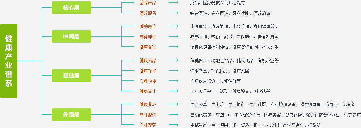 大健康产业细分领域中国大健康产业发展的动力源产业发展重点五大发展