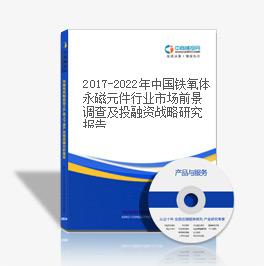 2019-2023年中国铁氧体永磁元件行业市场前景调查及投融资战略研究报告