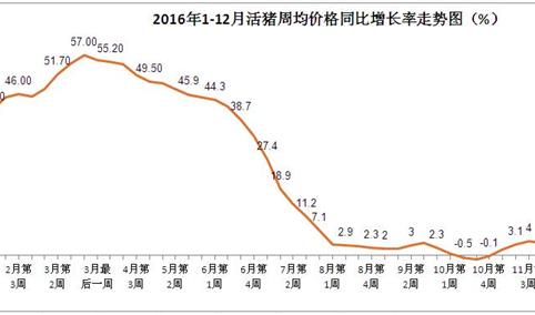 2016年生猪/玉米价格走势分析：猪粮比将会继续扩大