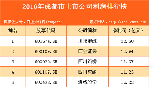 2016年成都市上市公司利润排行榜