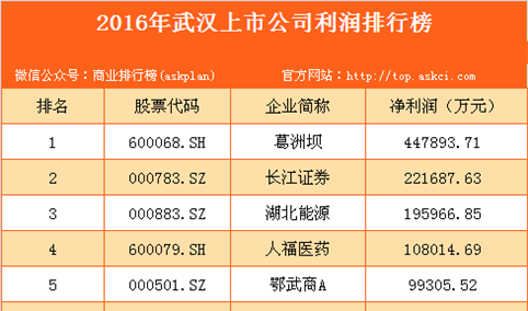 2016年武汉市上市公司利润排行榜