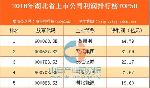 2016年湖北省上市公司利润排行榜