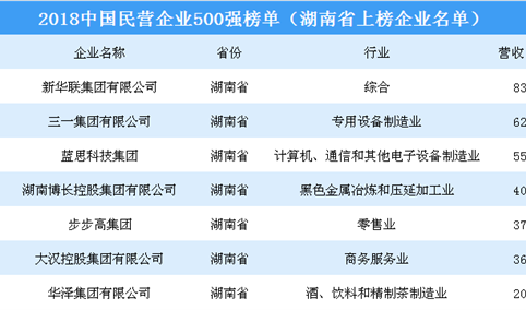 2018年中国民营企业500强排行榜（湖南省上榜企业名单）