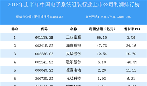 2018上半年中国电子组装行业上市公司利润排行榜