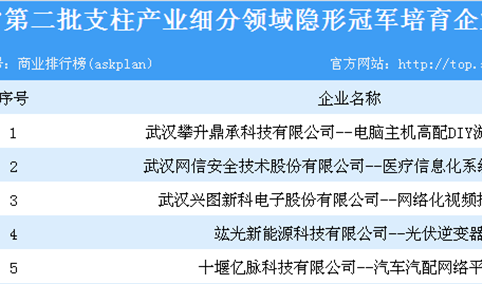 湖北省第二批支柱产业细分领域隐形冠军培育企业名单一览（共251家企业上榜）