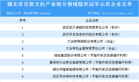 2018年湖北省首批支柱产业细分领域隐形冠军示范企业名单一览