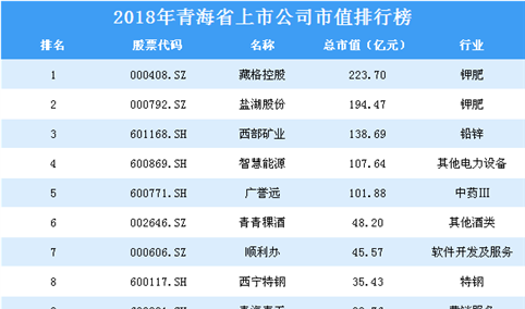 2018年青海省上市公司市值排行榜