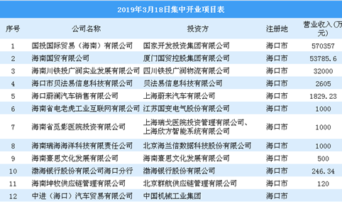 招商引资情报：海南18家招商项目投资企业开业运营 下一步重点开展外资招商