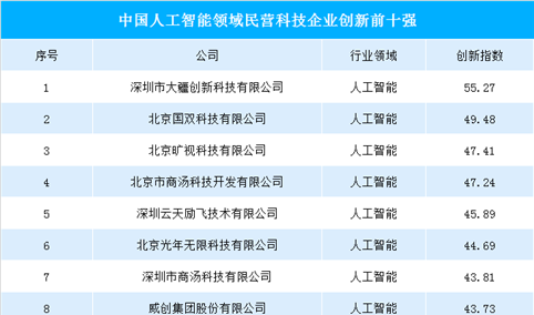 中国人工智能领域民营科技企业创新前十强：大疆/旷视/商汤榜上有名