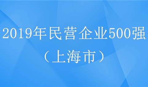 2019年中国民营企业500强排行榜（上海市全榜单）