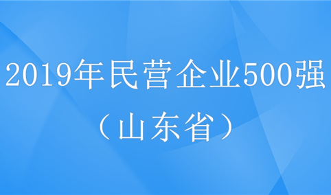 2019年中国民营企业500强排行榜（山东省全名单）
