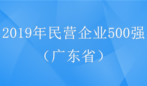 2019年中国民营企业500强排行榜（广东省全榜单）