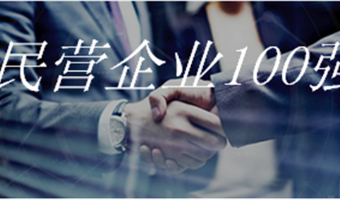 2019年四川省民营企业100强排行榜