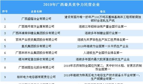 2019年广西最具竞争力民营企业（全榜单）