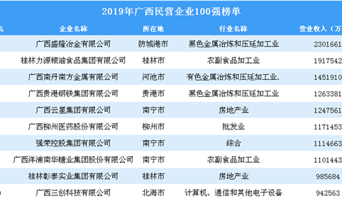 2019年广西民营企业100强排行榜