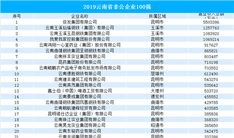 2019云南省非公企业100强出炉：俊发集团遥遥领先（附榜单）