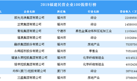 2019福建民营企业100强排行榜