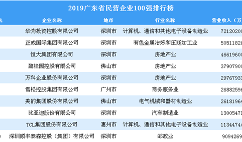 2019年广东省民营企业100强排行榜