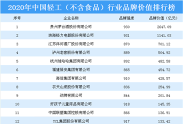 2020年中国轻工（不含食品）行业品牌价值排行榜