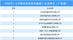 产业地产投资情报：2020年1-6月海南省投资拿地前十企业排行榜（产业篇）