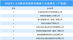 产业地产投资情报：2020年1-6月陕西省投资拿地前十企业排行榜（产业篇）