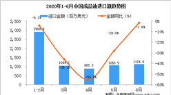 2020年6月中国成品油进口量为349.9万吨  同比增长75.6%
