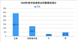 2020上半年贵州省畜牧业跑出恢复发展加速度分析（附图表）