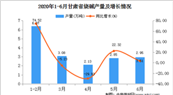 2020年1-6月甘肃省烧碱产量为17.38万吨  同比增长20.53%