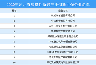 2020年河北省战略性新兴产业创新百强企业排行榜