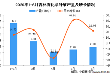 2020年1-6月吉林省化学纤维产量为17.76万吨 同比增长11.49%