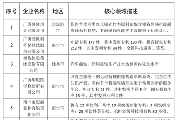 2020年广西最具潜力民营企业排行榜