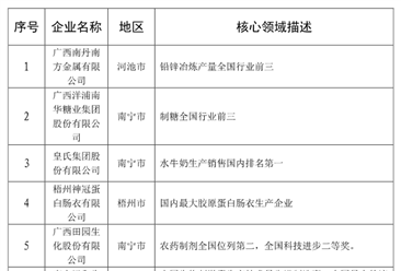 2020年广西最具竞争力的民营企业排行榜（TOP15）