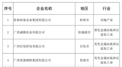2020年广西民营企业纳税10强排行榜