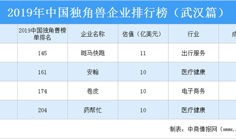 2019年中国独角兽企业排行榜（武汉篇）