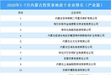 产业地产斥资情报:2020年1-7月内蒙古斥资拿地上十集团排行榜(产业篇)