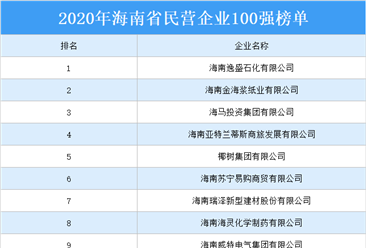 2020年海南省民营企业100强排行榜