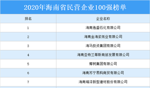 2020年海南省民营企业100强排行榜